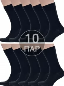 Комплект из 10 пар мужских носков Grinston socks (PINGONS), 10-17D1, ЧЕРНЫЕ