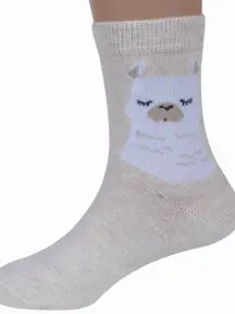 Комплект из 5 пар детских носков RuSocks (Орудьевский трикотаж) рис. 04, МОЛОЧНЫЕ (5-Д3-13159)