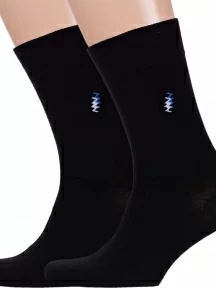 Комплект из 2 пар мужских носков Брестские (БЧК), 2-14с2122, рис. 464, ЧЕРНЫЕ