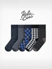 Набор из 5 пар мужских носков "Нева-Сокс", НС-5-НМ30, микс "Ночные переговоры"