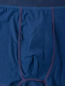 Мужские бамбуковые трусы-боксеры SD (by Salvador Dali), SD2040-3, ФИОЛЕТОВЫЕ