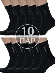 Комплект из 10 пар мужских носков Альтаир ЧЕРНЫЕ (10-С18)