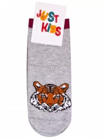 Детские носки "Красная ветка", С-1752, СЕРЫЕ