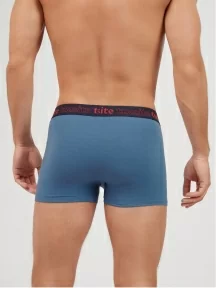 Мужские трусы-боксеры Tuosite, TS4402-5, СИНИЕ