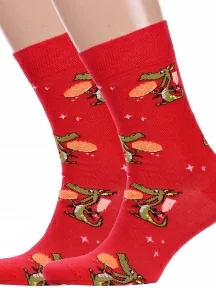 Комплект из 2 пар мужских носков Брестские (БЧК), 2-20С2146, рис. 484, ВИШНЕВЫЕ