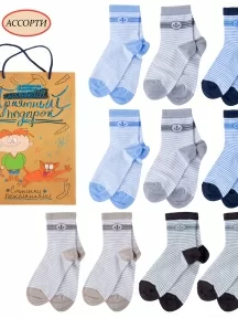 Набор для мальчиков из 10 пар носков LORENZline, Л65-10, микс