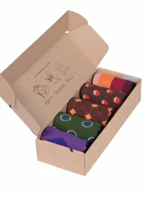 Набор из 5 пар мужских носков "Нева-Сокс", НС-5-НМ201, микс "Машина времени"