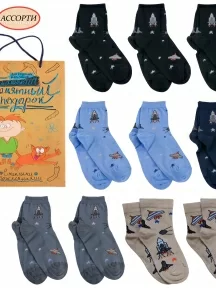 Набор для мальчиков из 10 пар носков LORENZline, Л71-10, микс 2