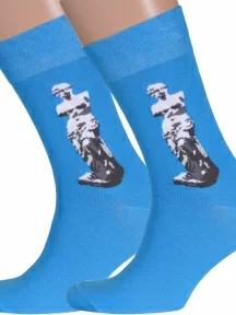 Комплект из 2 пар мужских носков MSCLUB №М20, 2-nm-239Э, ГОЛУБЫЕ с Венерой
