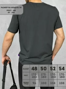 Мужская футболка Рина+, М-302, "МЕЧТАЙ ДЕЛАЙ"