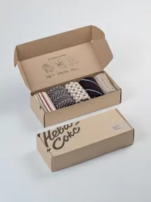 Набор из 5 пар мужских носков "Нева-Сокс", НС-5-НМ33, микc "В библиотеке"