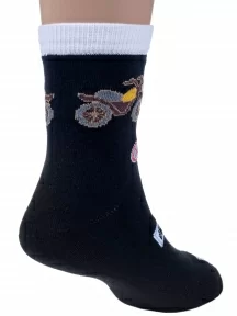 Набор для мальчиков из 10 пар носков LORENZline, Л87-10, микс