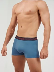 Мужские трусы-боксеры Tuosite, TS4402-5, СИНИЕ