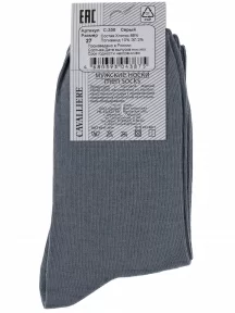 Мужские носки CAVALLIERE (RuSocks) СЕРЫЕ (С-330)