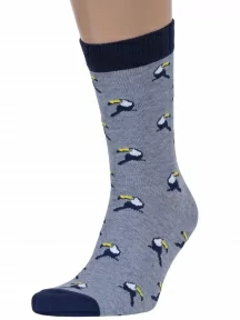 Мужские носки "Красная ветка", С-197, СЕРЫЕ