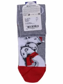 Мужские носки Брестские (БЧК), 20С2146, рис. 543 СЕРЫЕ МЕЛАНЖ