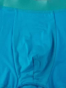 Мужские трусы-боксеры из вискозы Tuosite, TS8023-3, БИРЮЗОВЫЕ