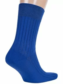 Мужские носки из 100% хлопка RuSocks (Орудьевский трикотаж), М3-11001, рис. 01, ВАСИЛЬКОВЫЕ