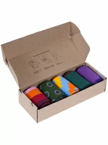 Набор из 5 пар мужских носков "Нева-Сокс", НС-5-НМ201, микс "Машина времени" V2.0