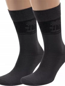 Комплект из 2 пар мужских носков ХОХ из вискозы, 2-X-1202, ТЕМНО-СЕРЫЕ