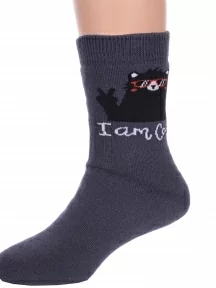 Детские махровые носки Брестские (БЧК), 14С3060, рис. 429, ТЕМНО-СЕРЫЕ