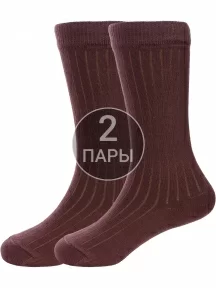 Комплект из 2 пар детских получулков Альтаир ШОКОЛАД (2-А15)