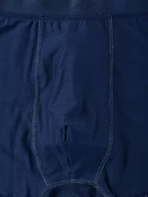 Мужские бамбуковые трусы-боксеры SD (by Salvador Dali), SD2040-1, СИНИЕ