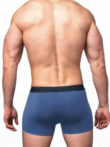 Мужские трусы-боксеры из модала Sergio Dallini, SD2908-5, СИНИЕ