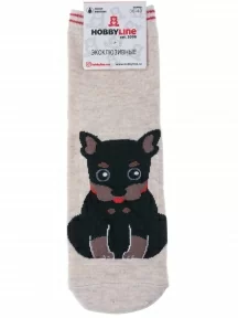 Женские носки Hobby Line, 254-1, СВЕТЛО-БЕЖЕВЫЕ