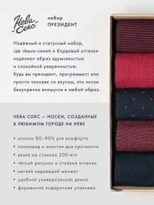 Набор из 5 пар мужских носков "Нева-Сокс", НС-5-НМ34, микc "Президент"