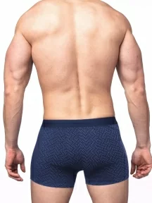 Мужские трусы-боксеры из модала Sergio Dallini, SG2925-2, СИНИЕ