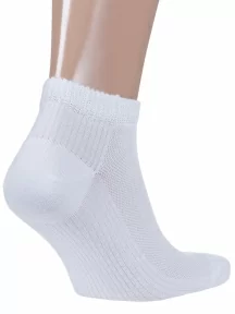 Набор мужских носков из микромодала, 10 пар (ТМ Grinston socks), PG-15D10-10k, микс 3