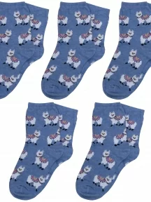 Комплект из 5 пар детских носков RuSocks (Орудьевский трикотаж), 5-Д3-13047, рис. 02, СВЕТЛО-ДЖИНСОВЫЕ