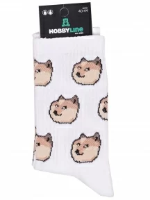 Спортивные носки Hobby Line, нус80186, БЕЛЫЕ