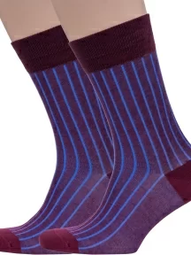 Комплект из 2 пар мужских носков Sergio di Calze (PINGONS) из мерсеризованного хлопка, 2-18SC2, БОРДОВЫЕ