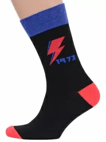 Набор из 5 пар мужских носков MSCLUB №М44, ВИ5-НМ44, микс 1