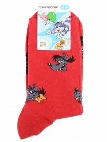 Мужские носки Брестские (БЧК), 23С2155, рис. 498, ВИШНЕВЫЕ