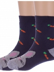 Комплект из 2 пар детских махровых носков "Красная ветка", 2-С-1619, СИНИЕ