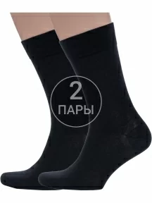 Комплект из 2 пар мужских носков Grinston socks (PINGONS) из 100% хлопка, 2-15D2, ЧЕРНЫЕ
