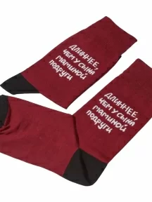 Носки unisex St. Friday Socks, 517-4, "Длиннее, чем у сына маминой подруги"