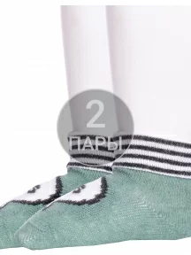 Комплект из 2 пар детских носков Conte kids, 2-5С-11СП, рис. 392, ХАКИ