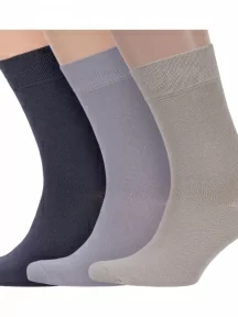 Комплект из 3 пар мужских носков Брестские (БЧК), 3-14С2122, рис. 000, микс 8