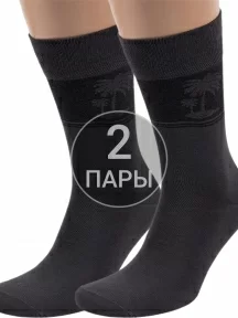 Комплект из 2 пар мужских носков ХОХ из вискозы ТЕМНО-СЕРЫЕ (2-X-1202)