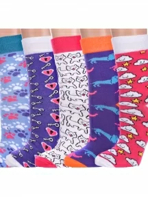 Набор из 5 пар женских носков Flappers Peppers, 5-1МБ19Ж-3, микс