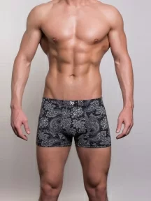 Мужские бамбуковые трусы-боксеры SD (by Salvador Dali), SD2042-1, ЧЕРНЫЕ