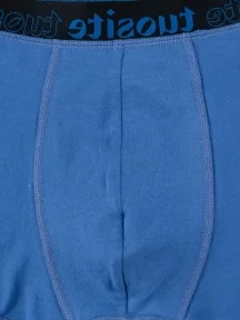 Мужские трусы-боксеры Tuosite, TS4401-5, СИНИЕ