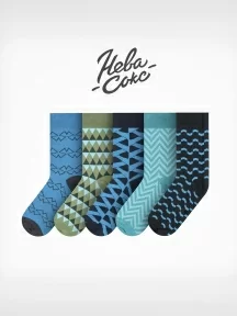 Набор из 5 пар мужских носков "Нева-Сокс", НС-5-НМ40, микс "На Байкале"