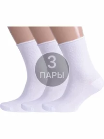 Комплект из 3 пар мужских носков с анатомической резинкой Альтаир Белый (3-С198)