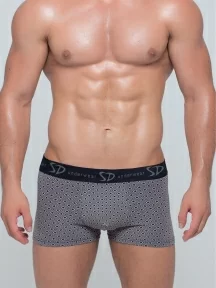 Мужские трусы-боксеры SD (by Salvador Dali), SD2017-2, СЕРЫЕ
