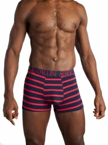 Мужские трусы-боксеры Sergio Dallini, SG2929-2, ТЕМНО-СИНИЕ